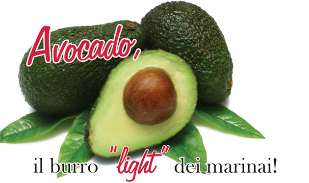 burro_light_avocado